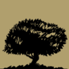 Pallas Olive logo